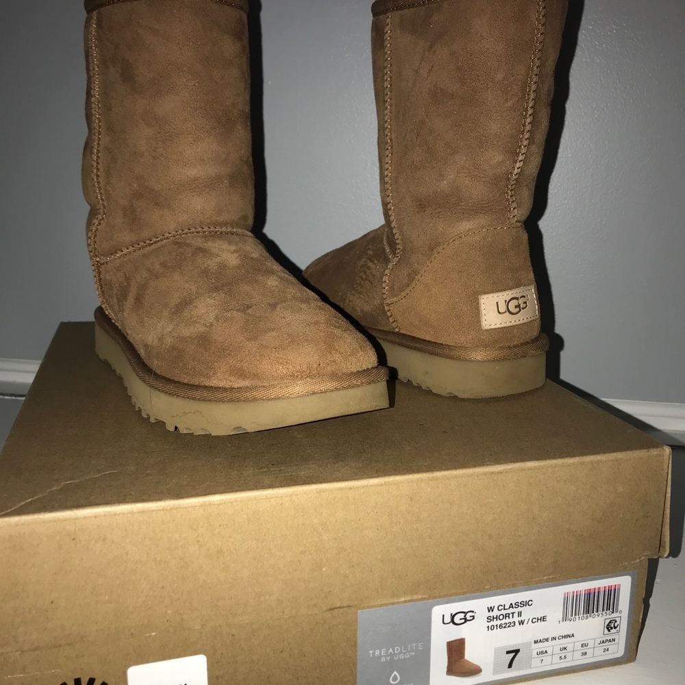 Classic short II UGGS